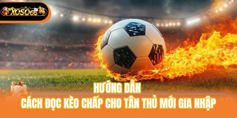 Hướng dẫn cách đọc kèo chấp cho tân thủ mới gia nhập